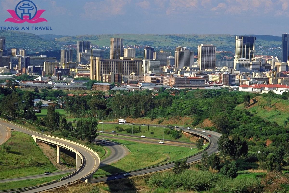 Pretoria – thành phố của những cây hoa dạ lan hương