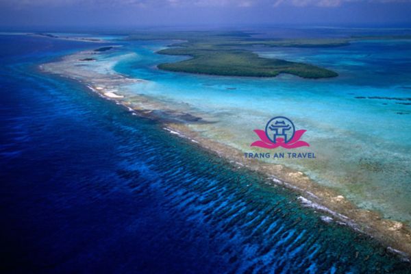 10 THẾ GIỚI NGẦM TUYỆT ĐẸP DƯỚI LÒNG BIỂN SÂU