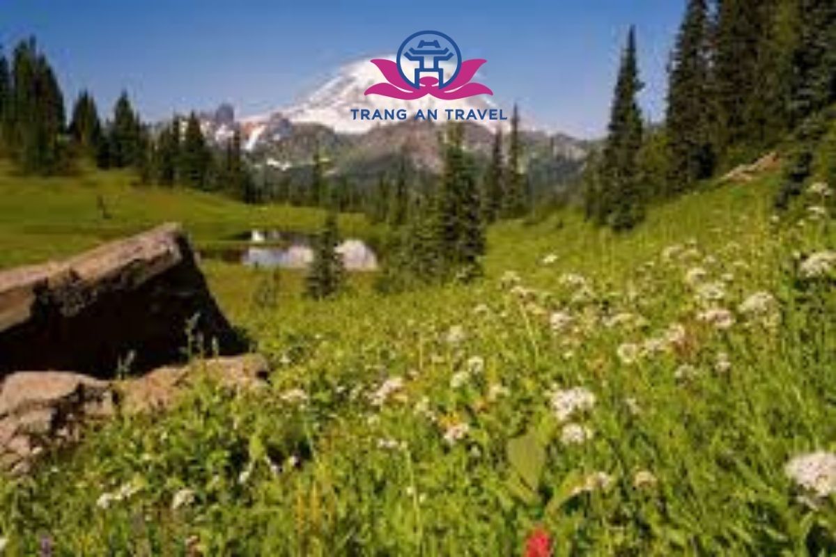 Thưởng ngoạn hương sắc ở 3 vườn hoa xinh đẹp nhất nước Mỹ