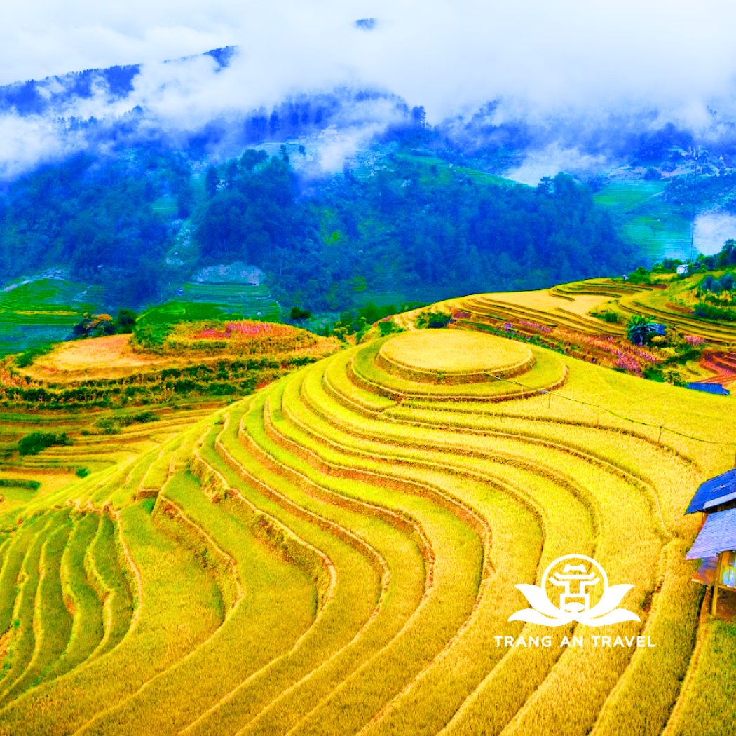 TOUR DU LỊCH TÂY BẮC: HÀ NỘI – MÙ CANG CHẢI – NGỌC CHIẾN– HÀ NỘI - 3 ngày 2 đêm 