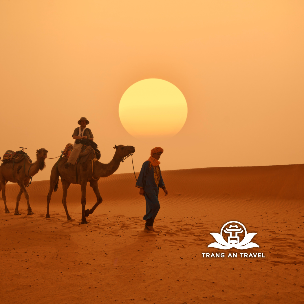 Tour Ma-Rốc 8N7Đ Bay Turkish Airlines  2025