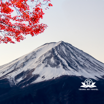 Tour Du Lịch Nhật Bản: Hà Nội – Tokyo – Phú Sĩ – Kyoto – Osaka – Hà Nội 6 Ngày 5 Đêm Bay Vietnam Airlines