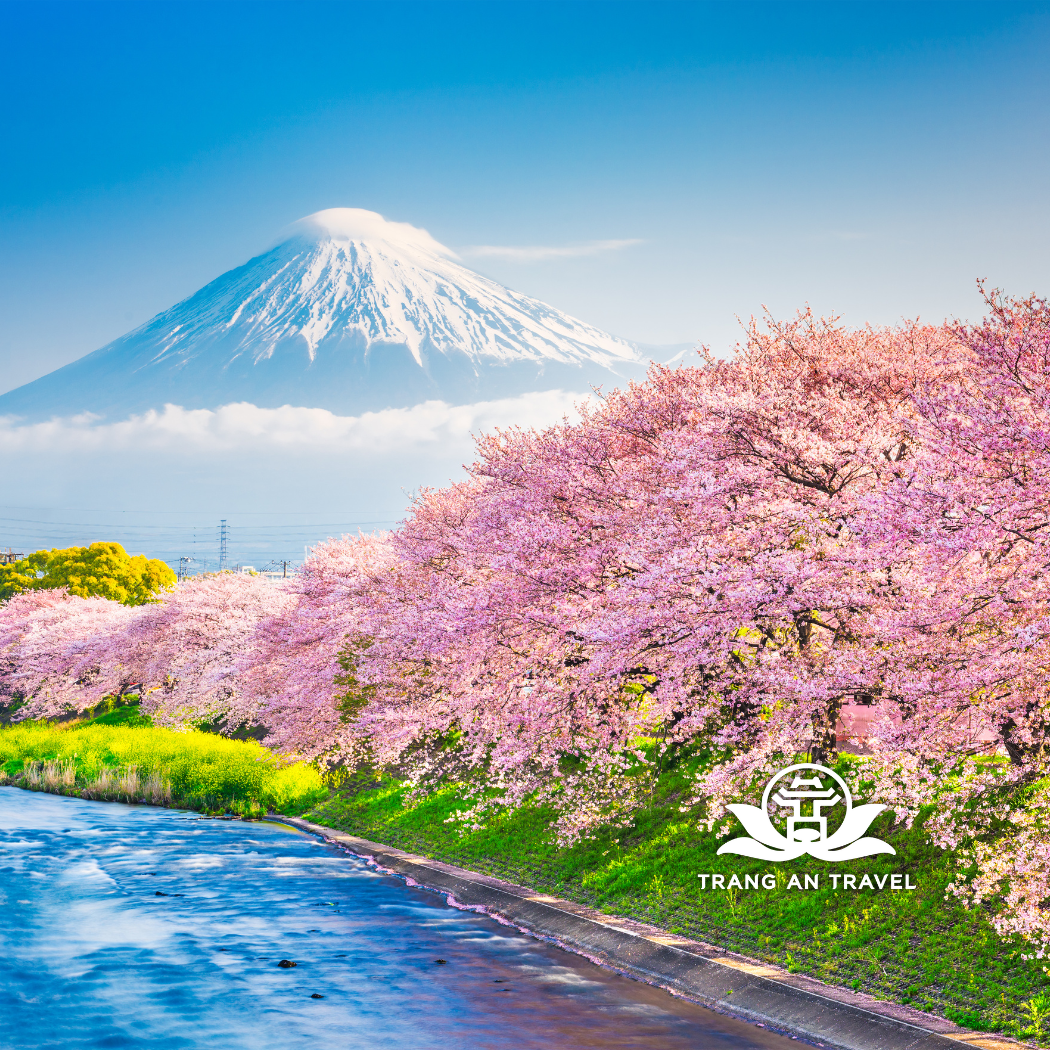 Tour Du Lịch Nhật Bản: Osaka – Kobe – Kyoto – Nagoya – Núi Phú Sĩ – Tokyo 6 Ngày 5 Đêm Bay Vietjet 