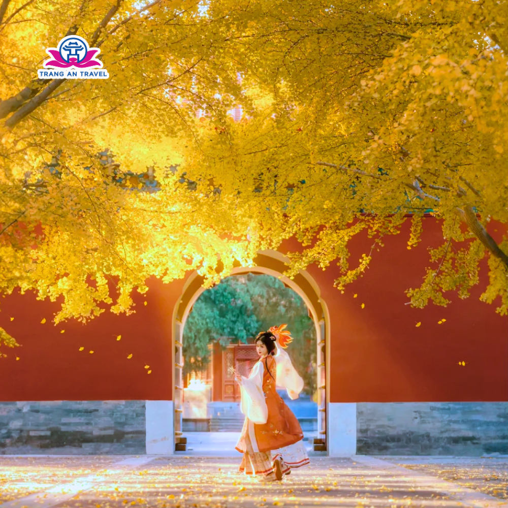 Tour Trung Quốc : Thượng Hải – Ô Trấn – Hàng Châu – Bắc Kinh No Shopping 7 Ngày 6 Đêm bay Air China