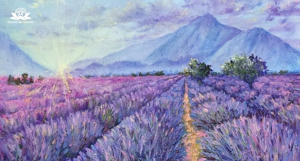 5 cánh đồng hoa oải hương quyến rũ nhất châu Âu