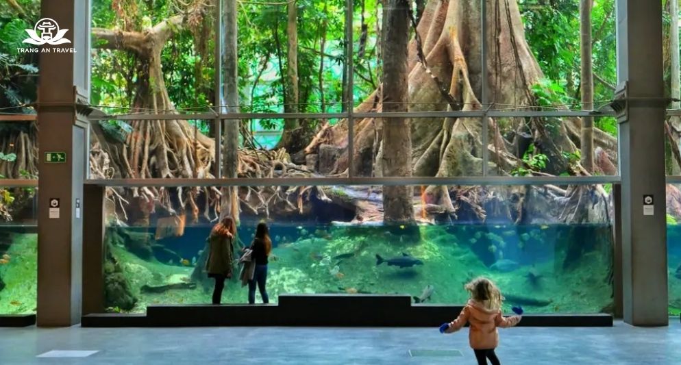 Các bảo tàng châu Âu cho trẻ em không thể bỏ qua