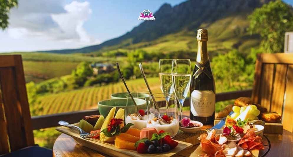Khám phá thung lũng rượu vang Cape Winelands đầy mê hoặc trong tour Nam Phi