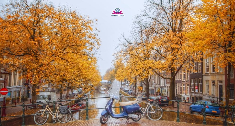 Thời tiết Hà Lan tháng 11: Chuẩn bị hành trang cho tour châu Âu cùng Tràng An Travel
