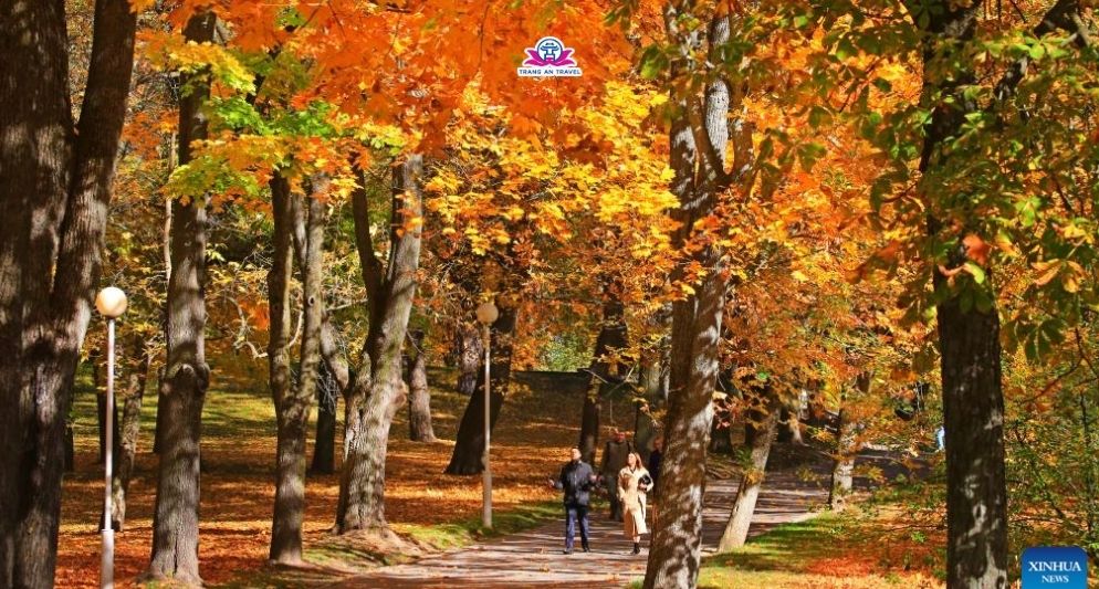 Kinh nghiệm du lịch Belarus tháng 10: Hành trình ấn tượng độc đáo ở châu Âu