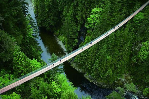 Cầu treo Capilano