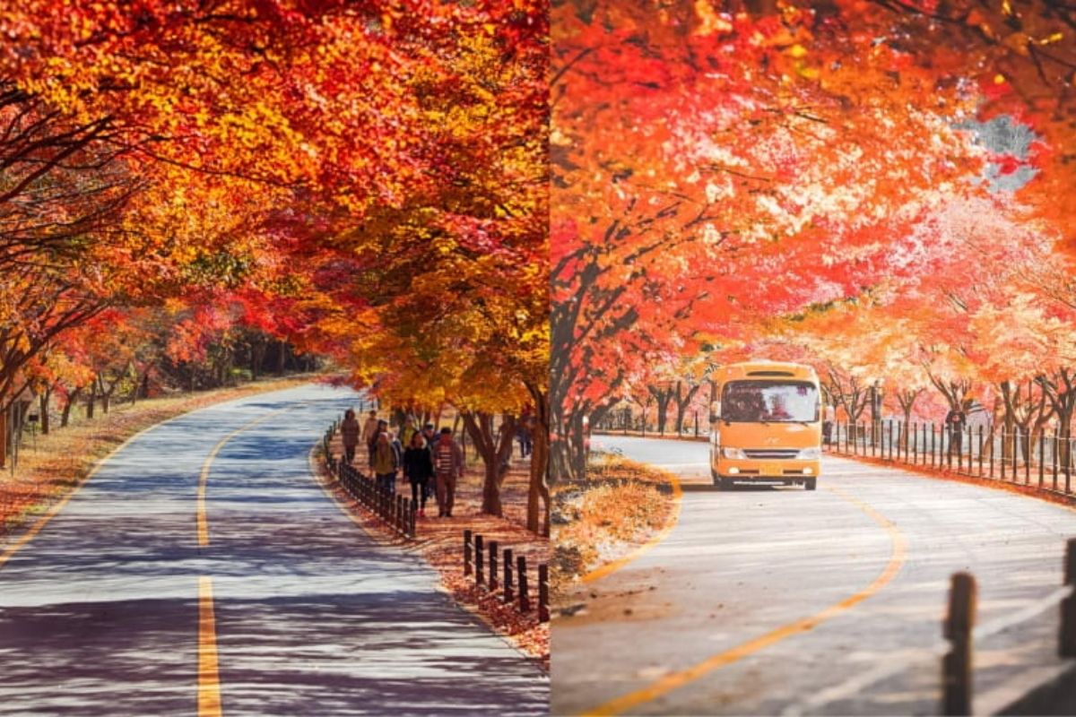 Con đường ven cung điện Deoksugung