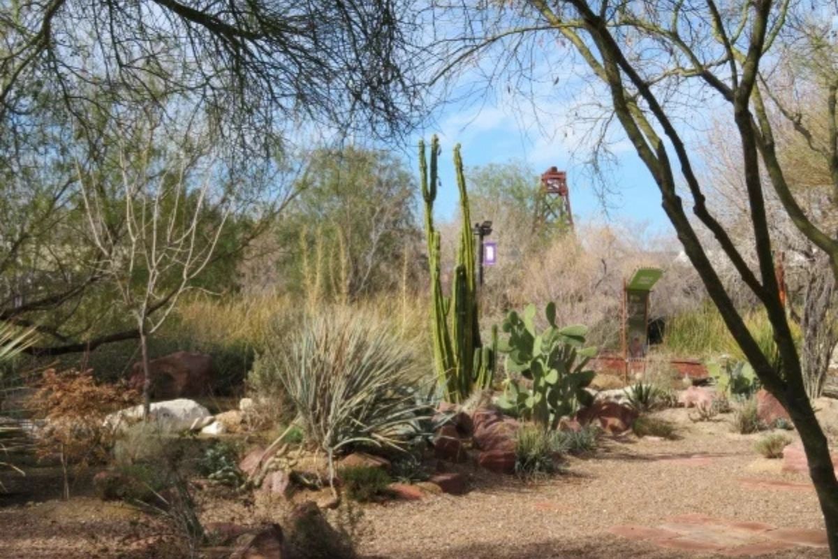 Công viên Springs Preserve