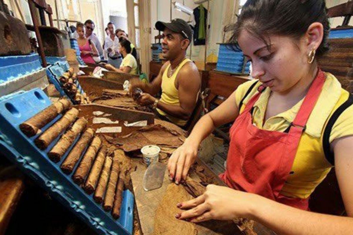 Nhà máy sản xuất xì gà Partagas