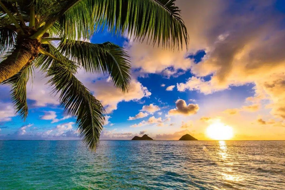 Đến Hawaii hãy bỏ những thứ không quá quan trọng sang một bên