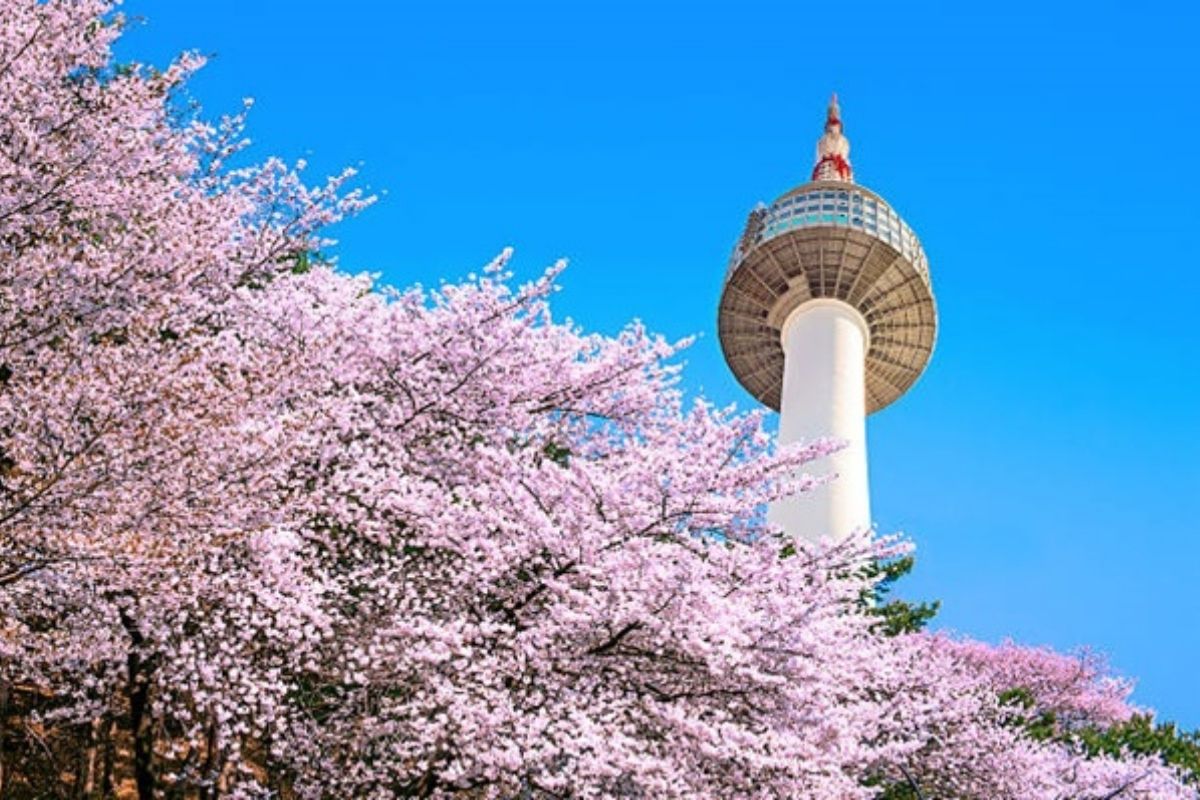 namsan tower