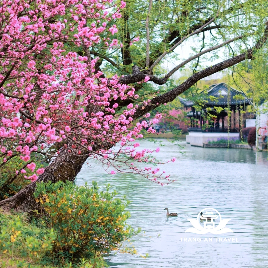 Khám phá Dương Châu tháng 3 – Thời tiết, cảnh xuân và những điều cần biết