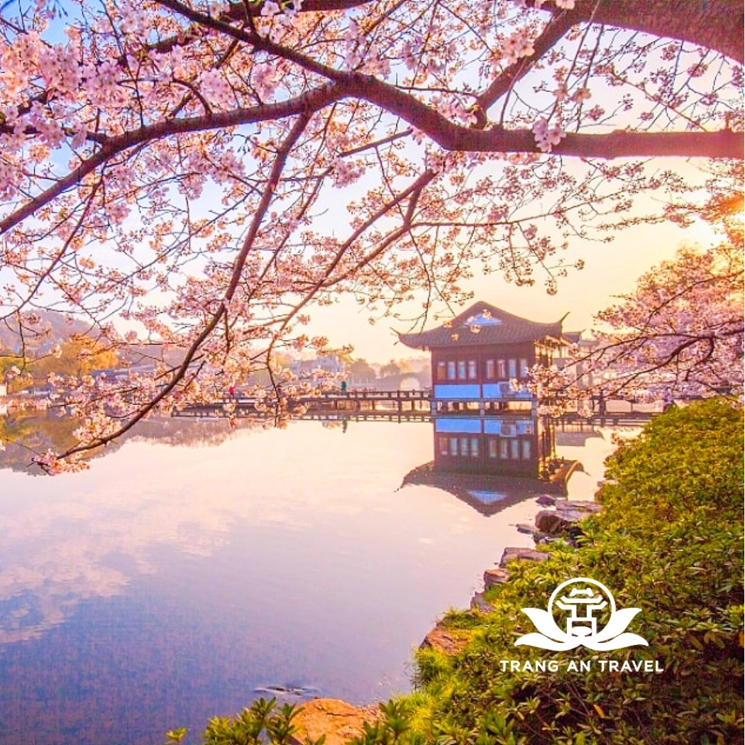 Hàng Châu tháng 3 – Thành phố bên Tây Hồ đón xuân