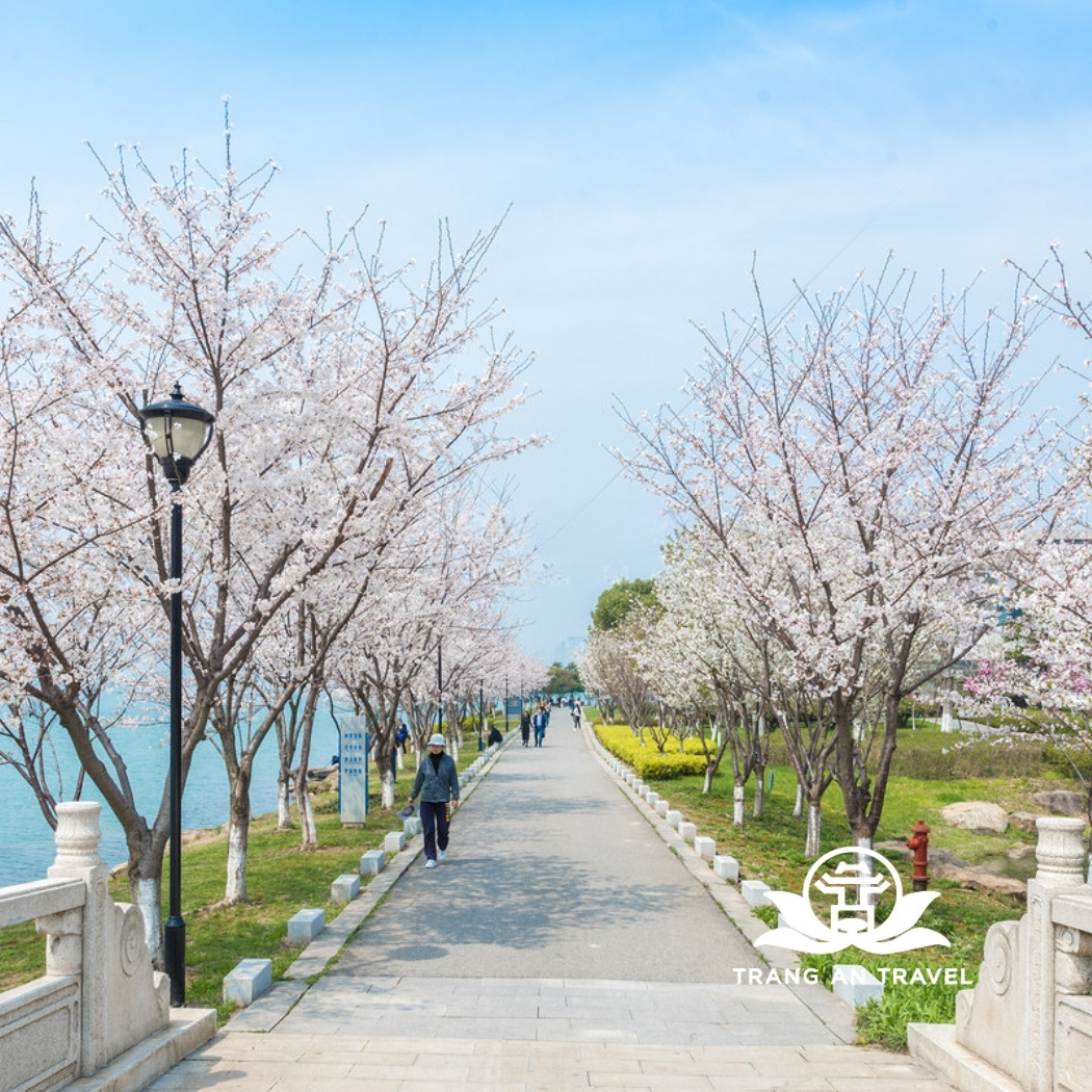 Tô Châu tháng 4 – Venice phương Đông giữa mùa xuân