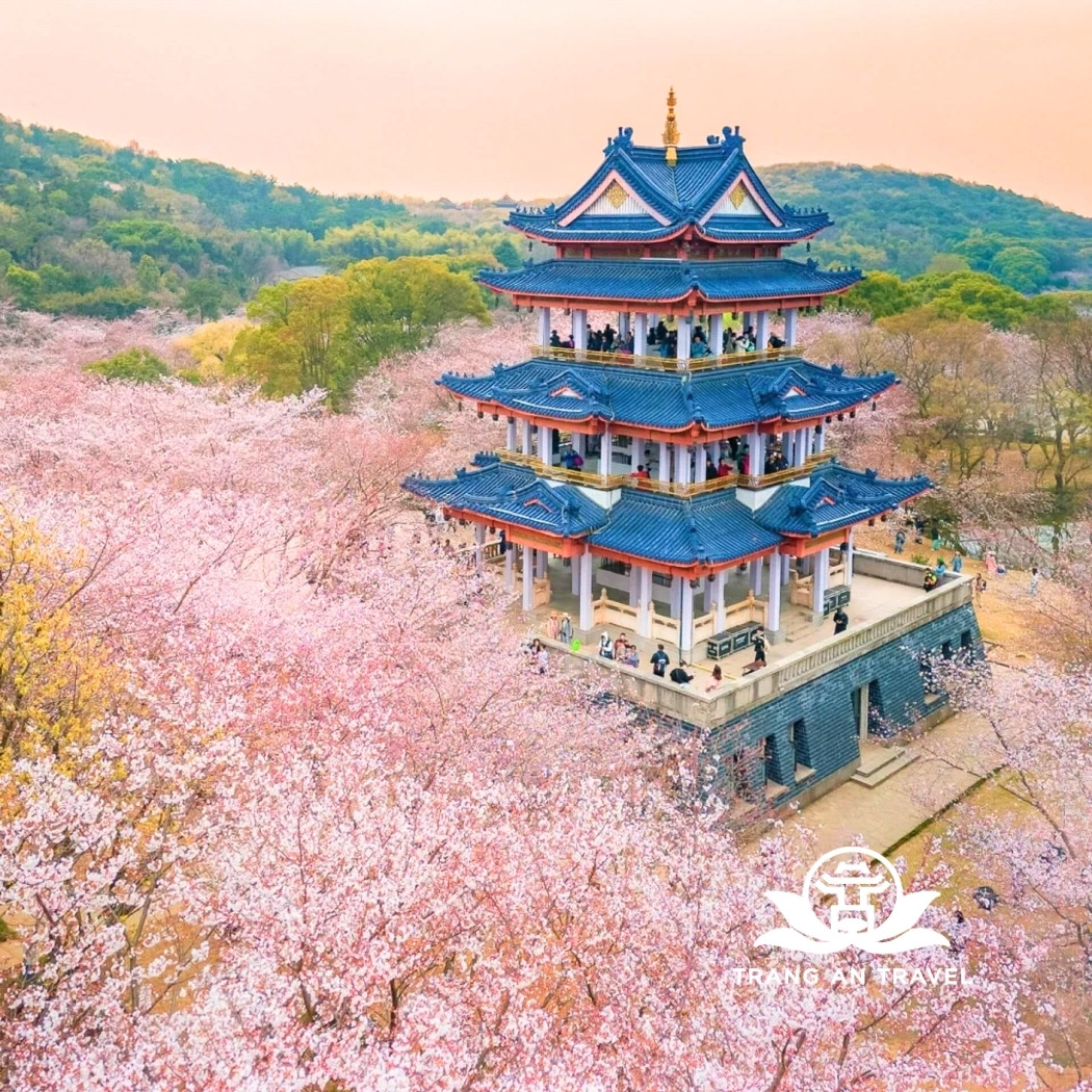 Thời tiết Vô Tích tháng 4 – Thành phố ven Thái Hồ vào mùa xuân