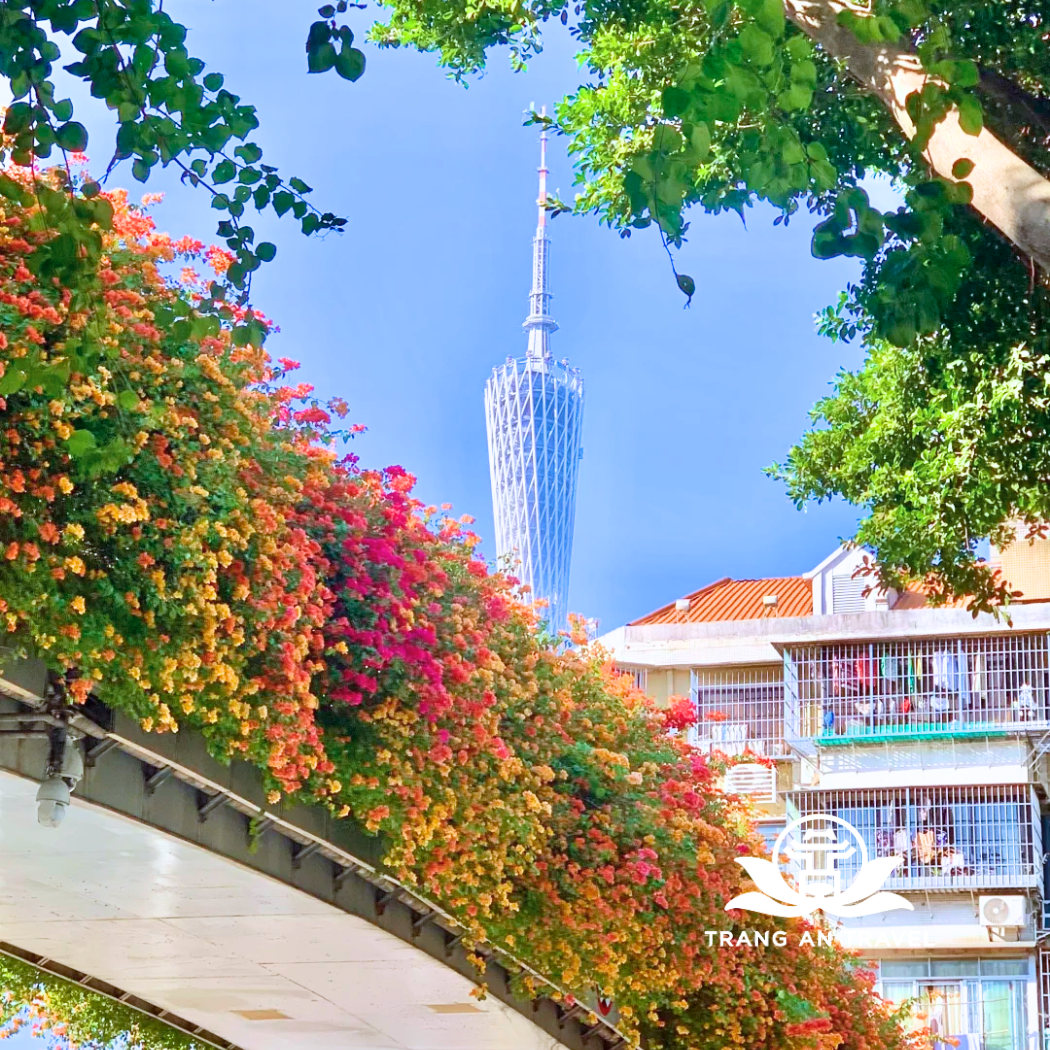 Thời tiết Quảng Châu tháng 2 – Thoải mái, dễ chịu cho hành trình đầu xuân