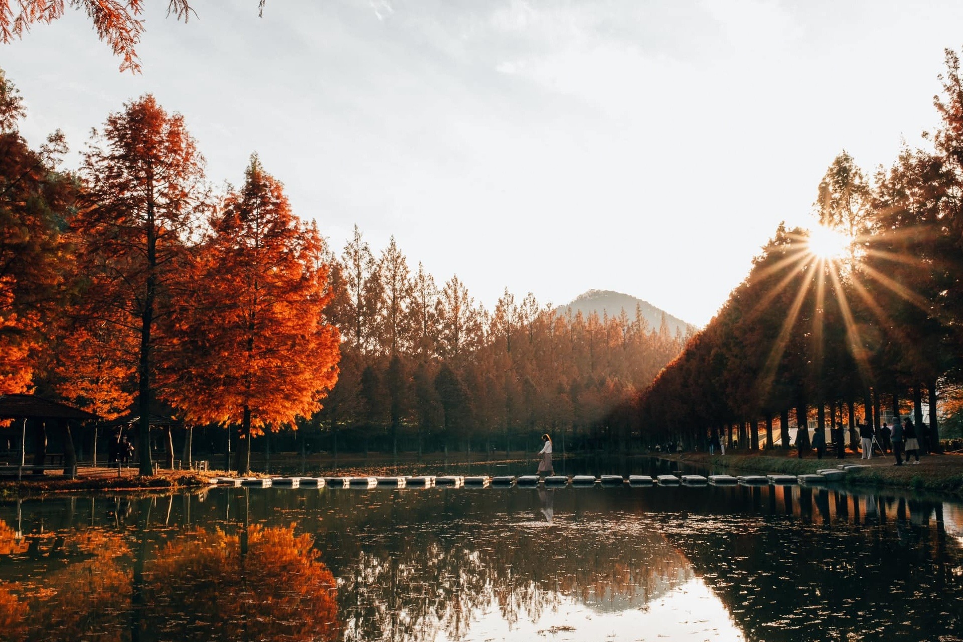 du lịch Hàn Quốc mùa thu