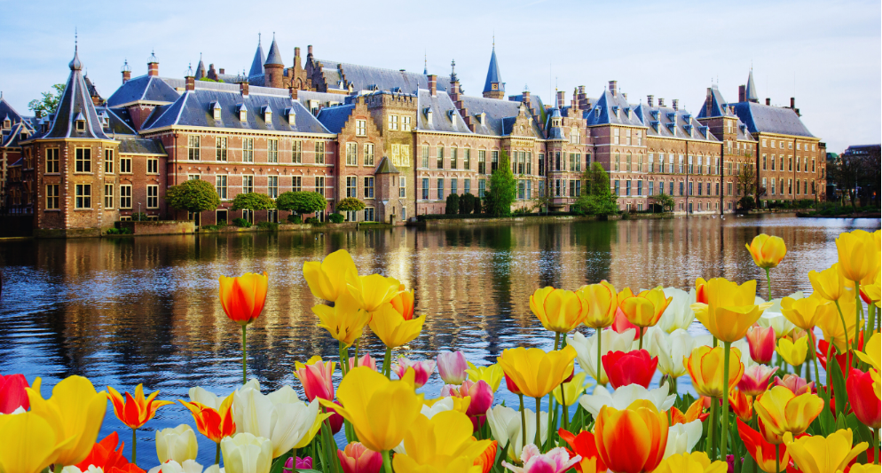 Thời tiết du lịch Hà Lan tháng 5: Có gì đẹp, có gì cần chuẩn bị gì?	