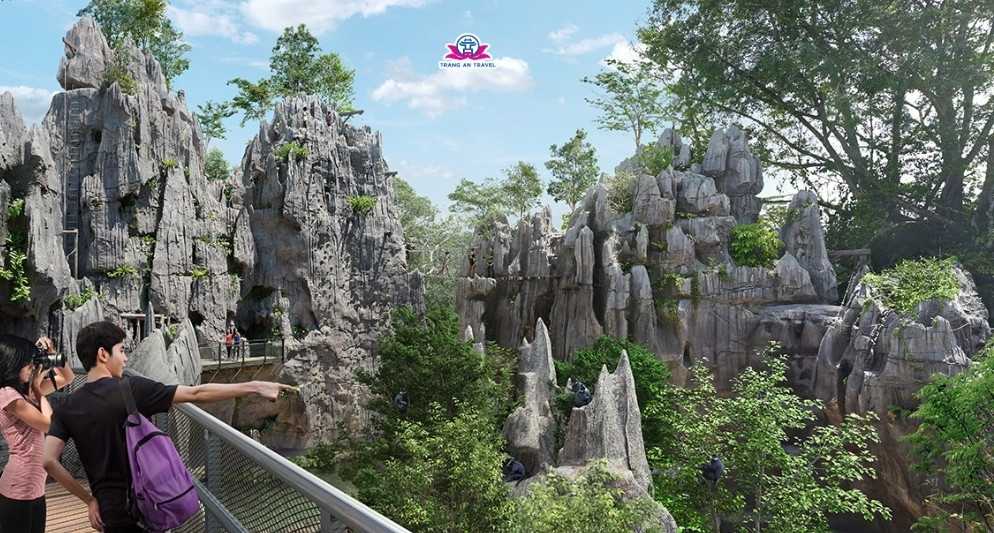 Rainforest Wild Asia