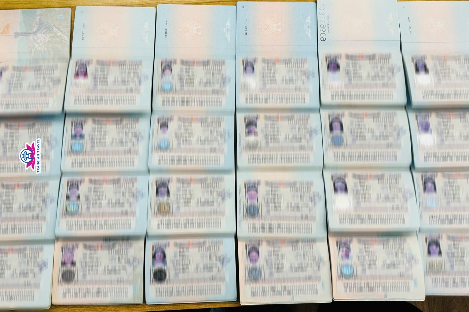 Có cần visa đi Ai Cập không? Thủ tục xin visa du lịch Ai Cập cập nhật mới nhất