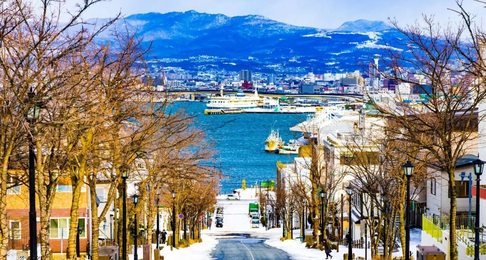 Kinh nghiệm du lịch Hakodate 2025: Thành phố cảng cổ kính, cảnh đêm đẹp nhất Nhật Bản