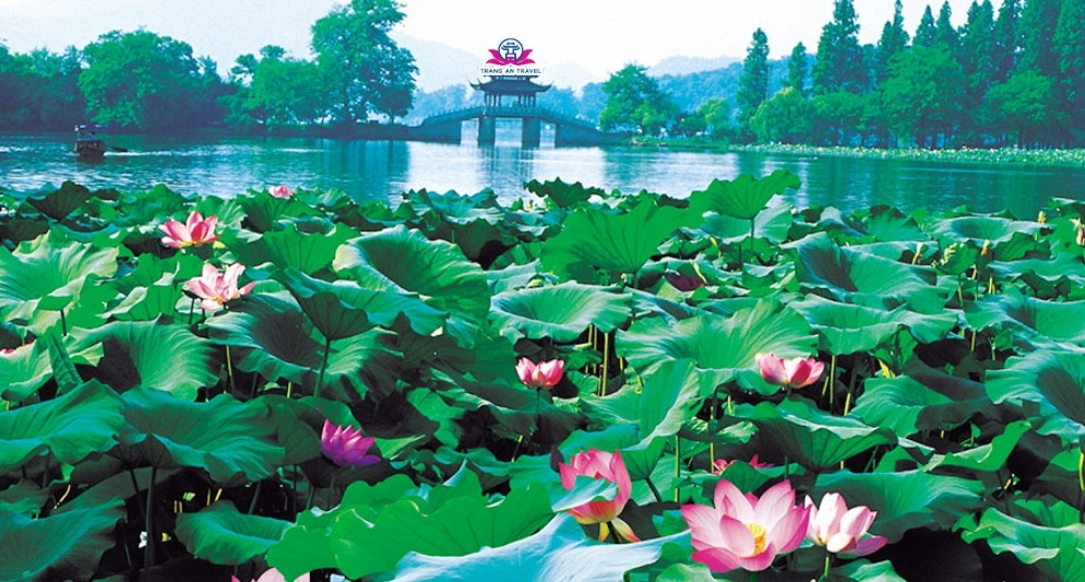 Đi du lịch Trung Quốc mùa hè có hoa gì đẹp?