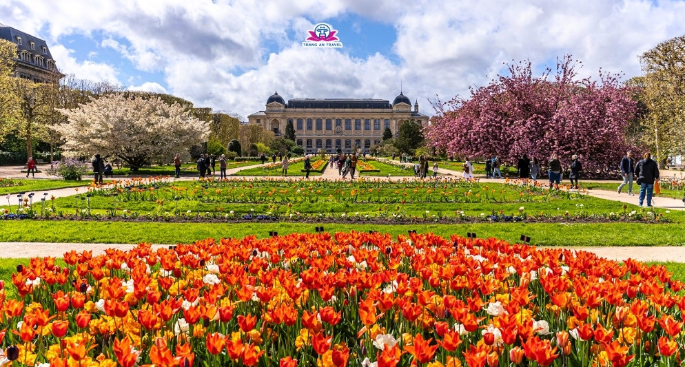 Vườn Jardin des Plantes