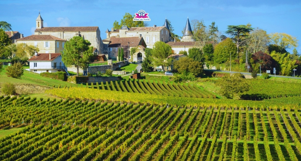 Trải nghiệm mùa nho chín tại vùng Bordeaux – Hành trình tour châu Âu dành cho tín đồ vang Pháp