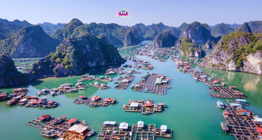 Tour Cát Bà 3N2Đ – Hành trình khám phá thiên đường biển đảo miền Bắc