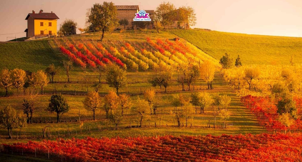 Thời tiết châu Âu tháng 11 có gì cần lưu ý? – Kinh nghiệm cho chuyến đi cuối thu đầu đông