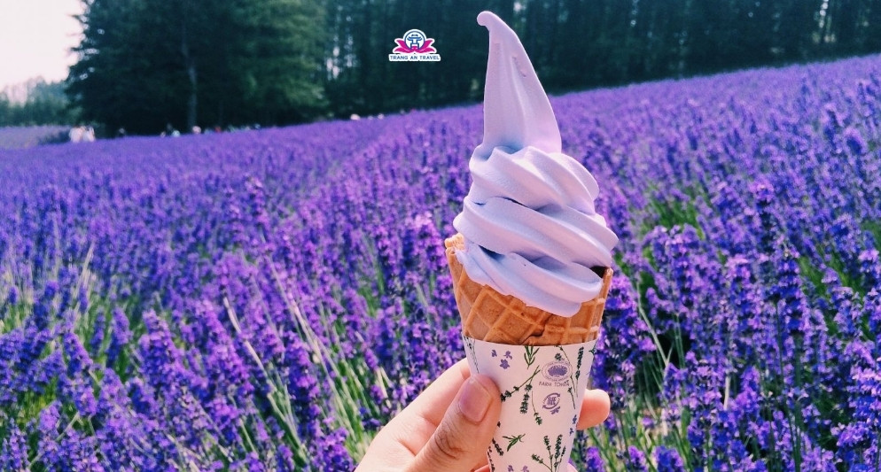 Lavender Hokkaido