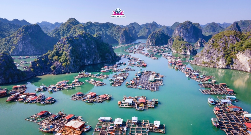 Cẩm nang du lịch Cát Bà – Kinh nghiệm trọn vẹn cùng Tràng An Travel