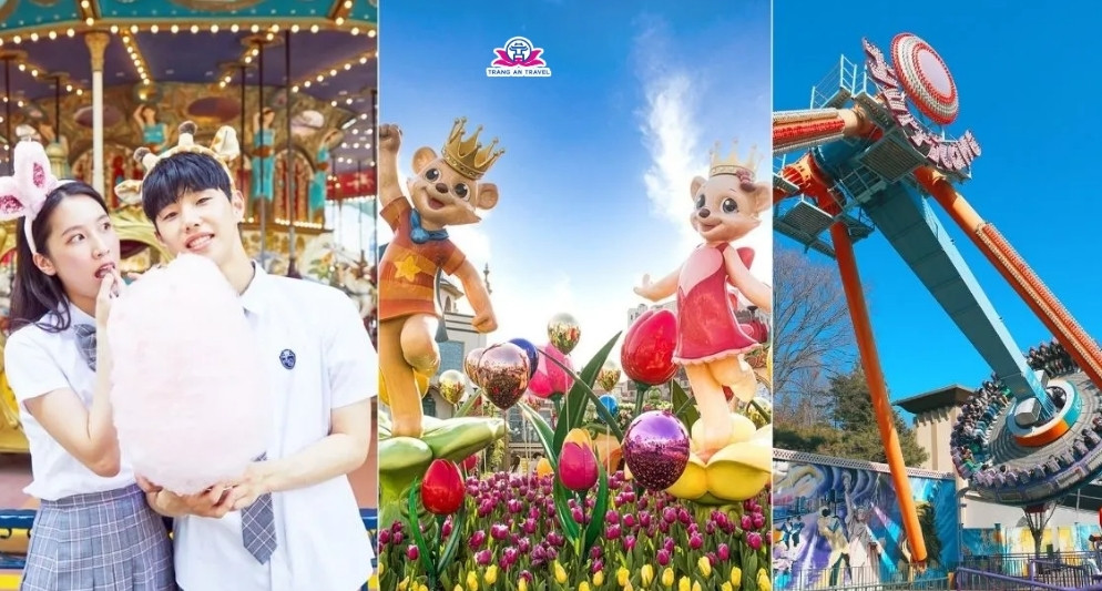 Kinh nghiệm vui chơi ở Everland Hàn Quốc mới nhất hè 2025 – Trọn ngày rực rỡ tại công viên giải trí hàng đầu châu Á