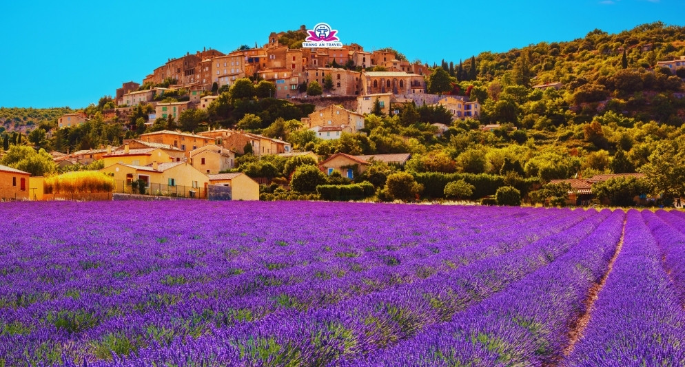 Tour châu Âu theo mùa hoa – Hành trình lãng mạn theo dấu những sắc màu thiên nhiên