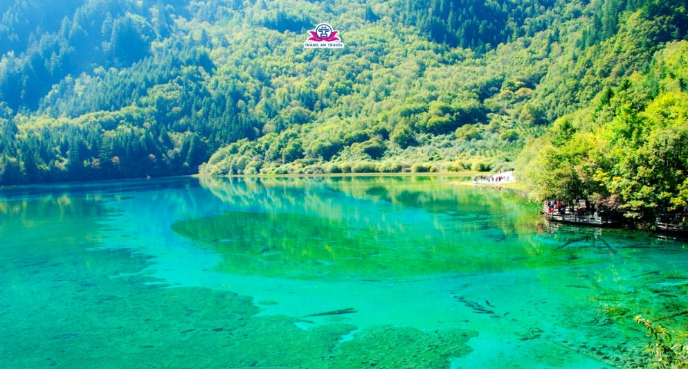 Tour Thành Đô – Cửu Trại Câu – Mạn Hoa – Lạc Sơn 6N5Đ: Khám phá thiên đường nơi hạ giới giữa lòng Tứ Xuyên