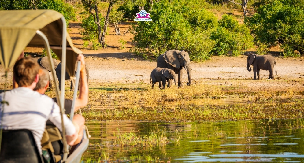 Du lịch Nam Phi tháng 10 có nên đi safari không?