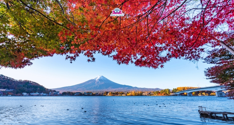 tour Nhật mùa thu 2025