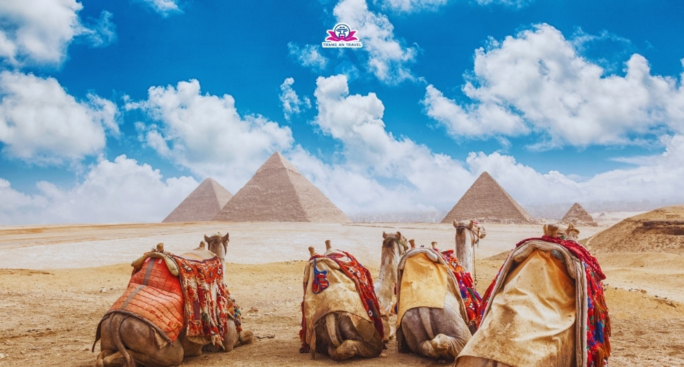 Nên đi tour Ai Cập vào tháng mấy? So sánh thời điểm du lịch Ai Cập 4 mùa trong năm