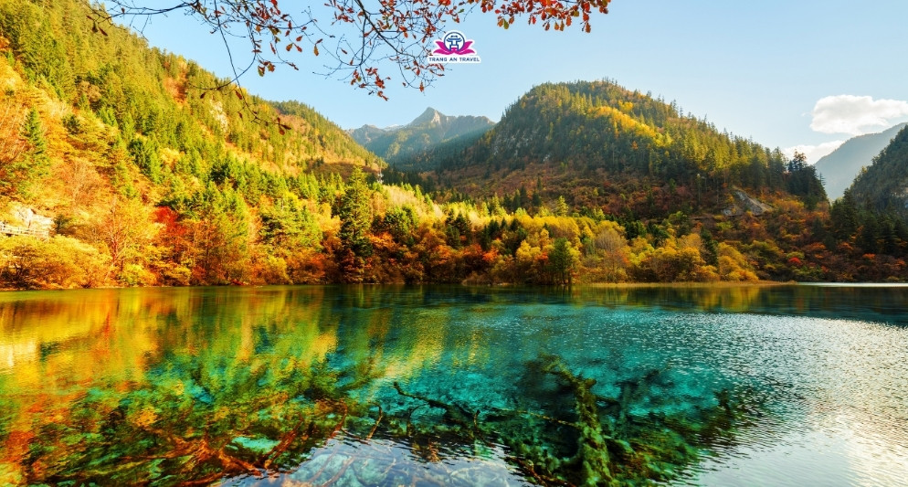 tour Cửu Trại Câu mùa thu 2025