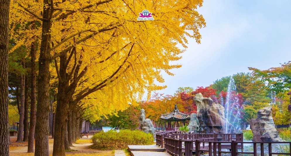tour Hàn Quốc mùa thu