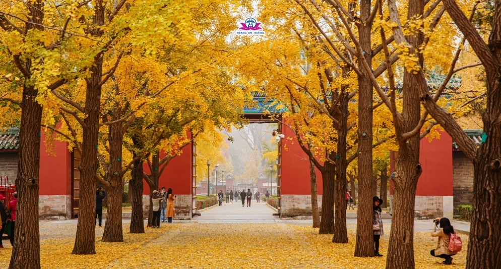 tour Bắc Kinh - Thượng Hải