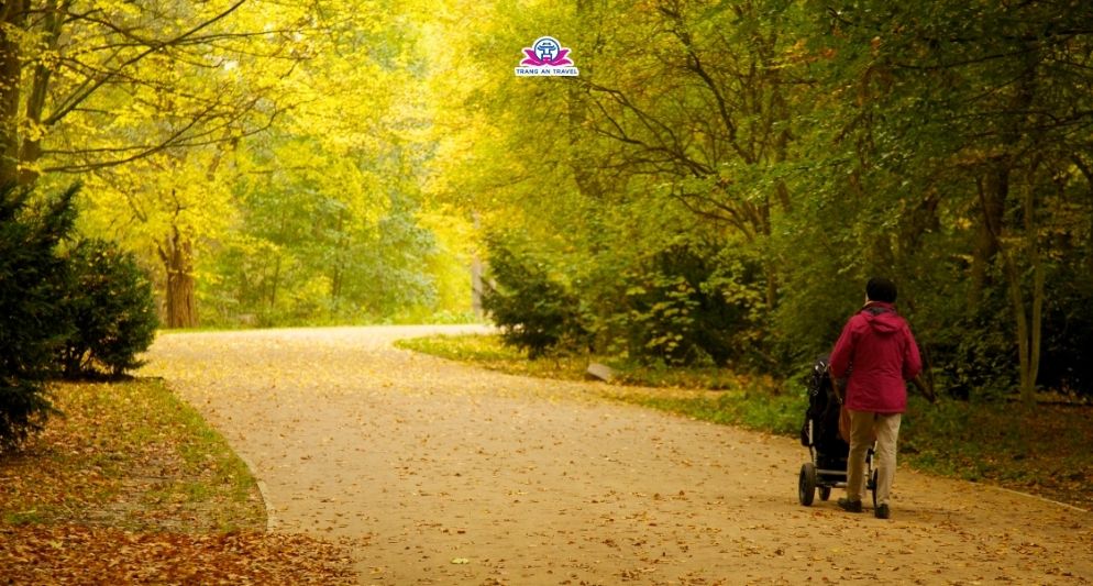 tour châu Âu mùa thu