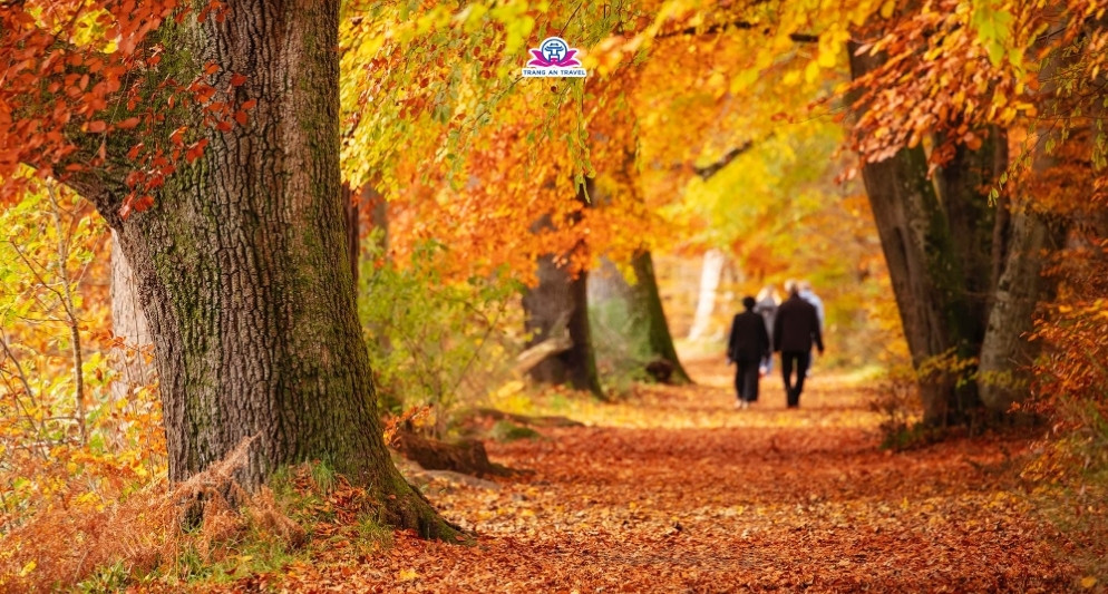 Thời tiết Scotland tháng 10 – Se lạnh và huyền bí bên những lâu đài cổ