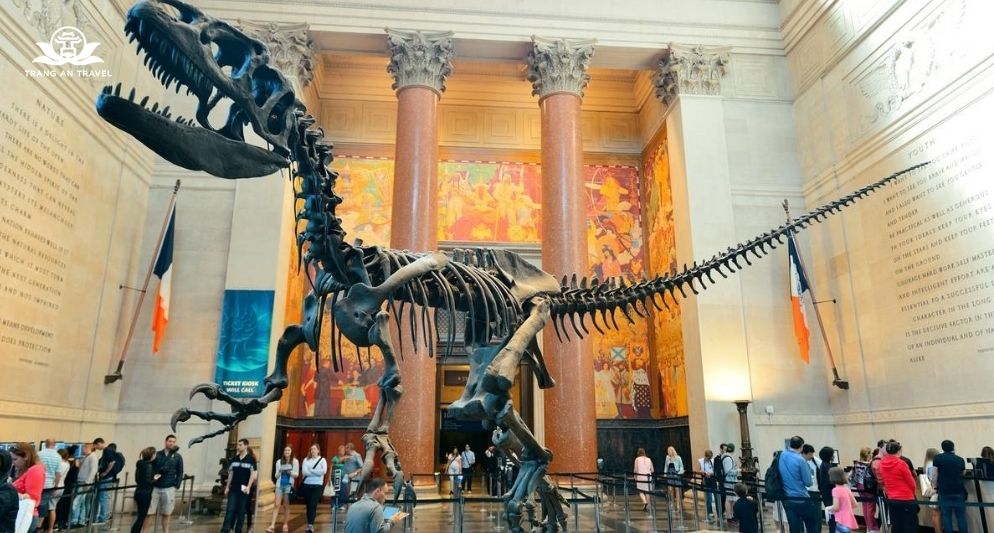 6 bảo tàng nước Mỹ đáng ghé thăm