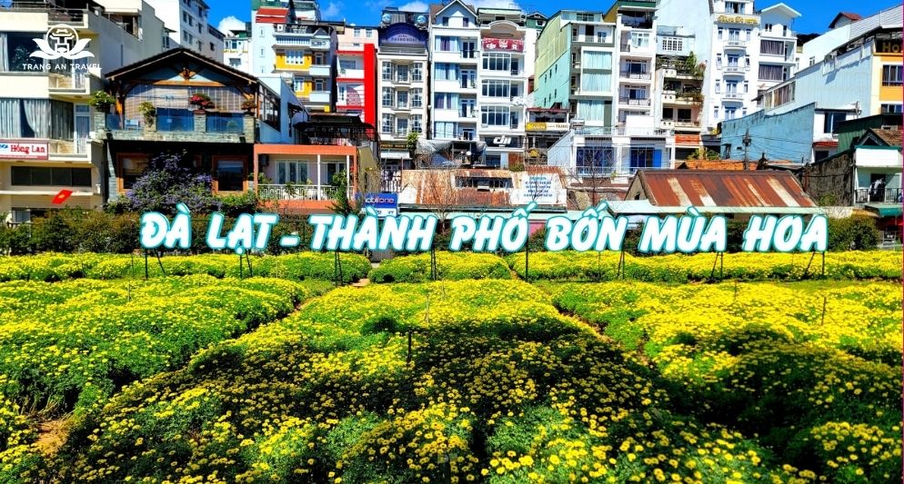 Tháng 12 đi đâu du lịch?