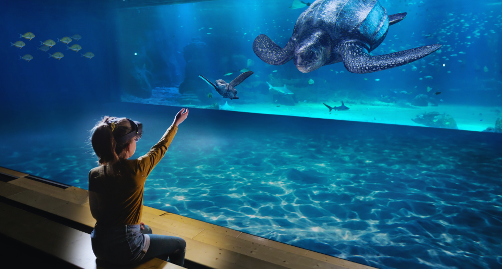 Thuỷ cung Nausicaá